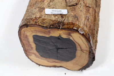 African Blackwood 290x100mm - Gren0550