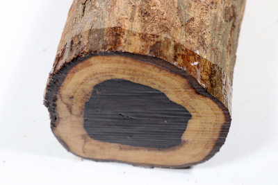 African Blackwood 290x100mm - Gren0550