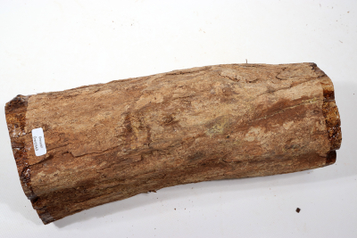 African Blackwood 310x125mm - Gren0543