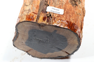 African Blackwood 440x125mm - Gren0548