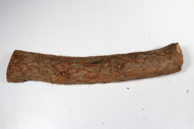 Astabschnitt Perückenstrauch 320x50mm - Perü0109