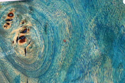 Block Poplar Burl blue stabilized 124x88x47mm - Stabi3828