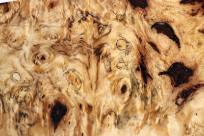 Block Horse Chestnut Burl stabilized  122x65x53mm - Stabi3287