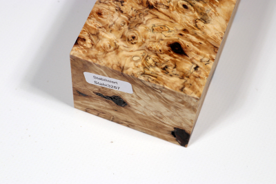 Block Horse Chestnut Burl stabilized  122x65x53mm - Stabi3287