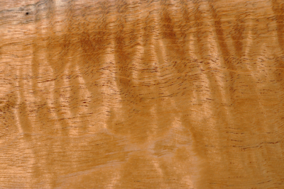 Board Honduran Mahogany / Swietenia curly 510x170x30mm - Swiet0130