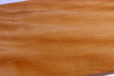 Brettabschnitt Andrampotsy 345x140x22mm - Andra0089