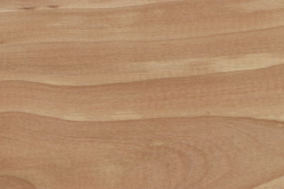 Board Turkish Hazel 490x130x25mm - Hasel0028