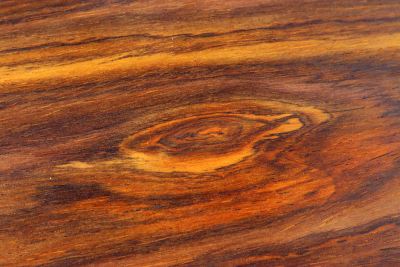 Brettabschnitt Cocobolo 480x128x11mm - Coco1565