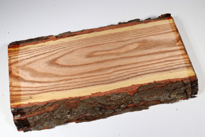 Brettabschnitt Geweihbaum 305x165x35mm - Gewe0112
