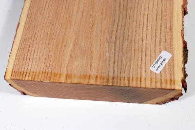 Brettabschnitt Geweihbaum 305x165x35mm - Gewe0112