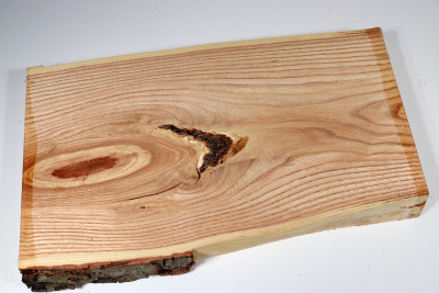 Brettabschnitt Geweihbaum 330x155x33mm - Gewe0109