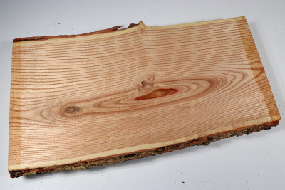 Brettabschnitt Geweihbaum 340x180x35mm - Gewe0117