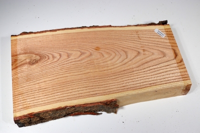 Brettabschnitt Geweihbaum 340x180x35mm - Gewe0117