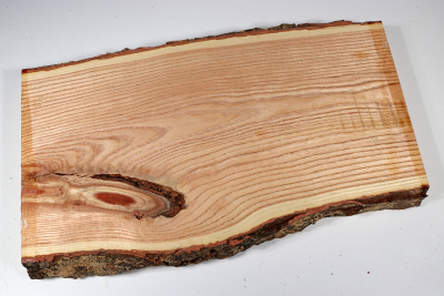 Brettabschnitt Geweihbaum 345x200x35mm - Gewe0108