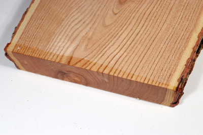 Brettabschnitt Geweihbaum 345x200x35mm - Gewe0108