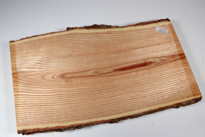 Brettabschnitt Geweihbaum 345x200x35mm - Gewe0108