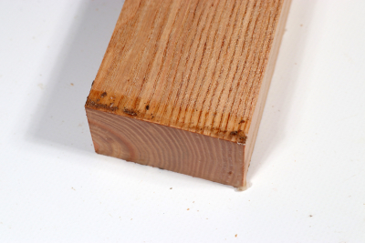 Brettabschnitt Geweihbaum 350x60x35mm - Gewe0119