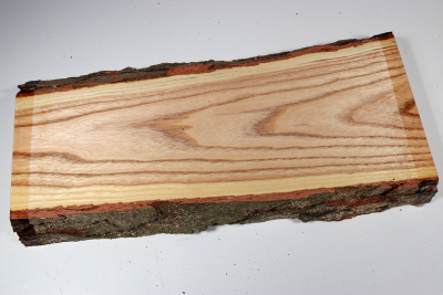 Brettabschnitt Geweihbaum 355x160x35mm - Gewe0113