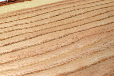 Brettabschnitt Geweihbaum 355x160x35mm - Gewe0113