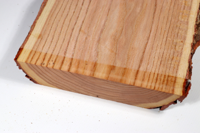 Brettabschnitt Geweihbaum 355x160x35mm - Gewe0113