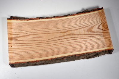 Brettabschnitt Geweihbaum 370x180x35mm - Gewe0091