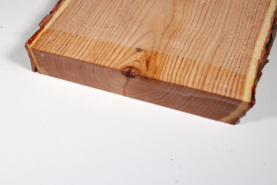 Brettabschnitt Geweihbaum 370x180x35mm - Gewe0091