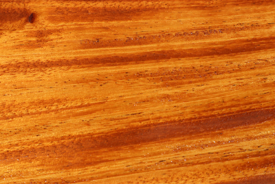 Brettabschnitt Honduras Mahagoni / Swietenia curly 350x115x50mm - Swiet0149