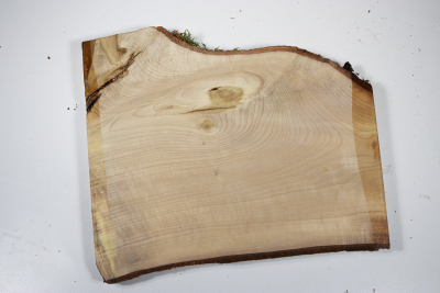 Board Magnolia 295x250x18mm - Magno0083