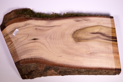 Board Magnolia 400x210x35mm - Magno0060