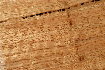 Brettabschnitt Marri, Red Gum curly 300x165x16mm - Marri0168