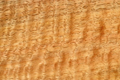 Brettabschnitt Marri, Red Gum curly 310x165x17mm - Marri0185