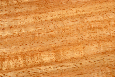 Brettabschnitt Marri, Red Gum curly 345x170x17mm - Marri0179