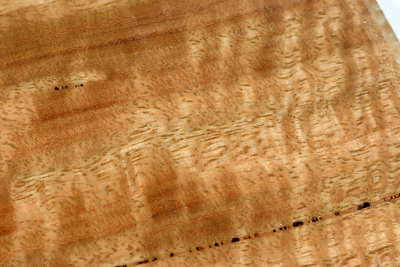 Brettabschnitt Marri, Red Gum curly 390x195x20mm - Marri0181