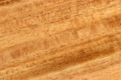 Brettabschnitt Marri, Red Gum curly 400x160x17mm - Marri0175