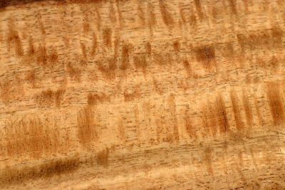 Brettabschnitt Marri, Red Gum curly 400x170x17mm - Marri0177