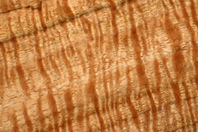 Brettabschnitt Marri, Red Gum curly 475x210x17mm - Marri0199
