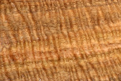 Brettabschnitt Marri, Red Gum curly 505x215x19mm - Marri0198