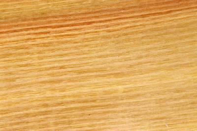 Brettabschnitt Osage Orange 445x120x14cmm - OsOr0140