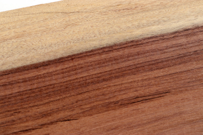 Brettabschnitt Santos Palisander 465x90x29mm - SanPal0272