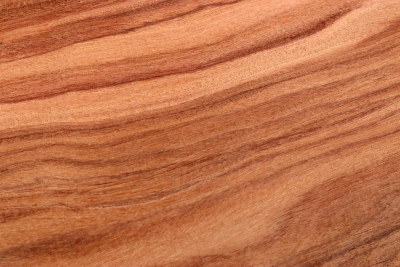 Brettabschnitt Santos Palisander 590x290x20mm - SanPal0255