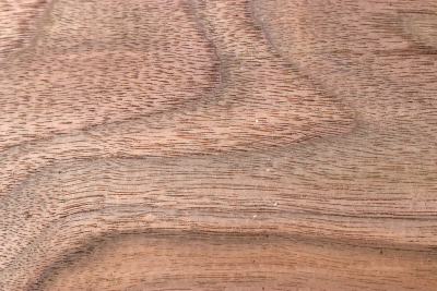 Brettabschnitt Schwarznuss 640x160x38mm - NusBM1272