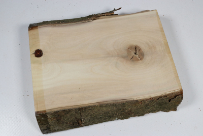 Brettabschnitt Stechpalme 195x170x42mm - Ilex0255