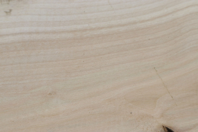 Brettabschnitt Stechpalme 195x170x42mm - Ilex0255