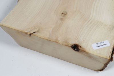 Brettabschnitt Stechpalme 195x170x42mm - Ilex0255