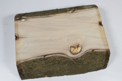 Board Holly 215x180x52mm - Ilex0253