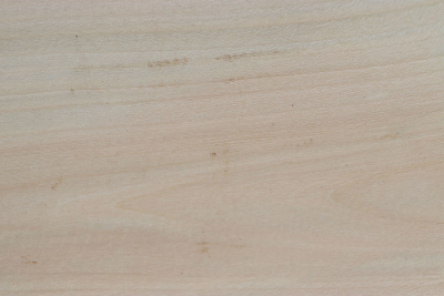 Board Holly 215x180x52mm - Ilex0253