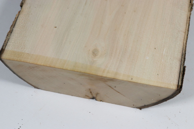 Board Holly 215x180x52mm - Ilex0253