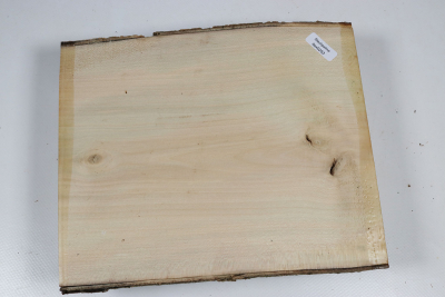 Board Holly 215x180x52mm - Ilex0253