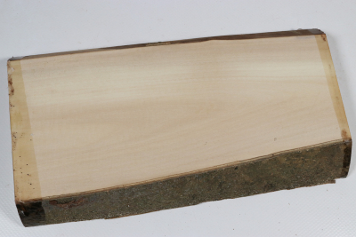 Brettabschnitt Stechpalme 230x125x25mm - Ilex0249