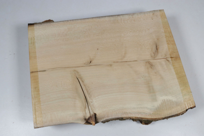 Brettabschnitt Stechpalme 250x180x53mm - Ilex0251